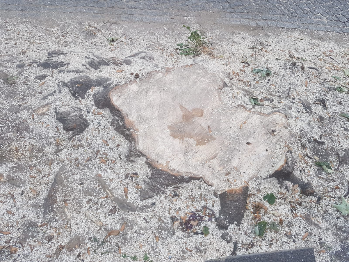 Dieses Bild hat ein leeres Alt-Attribut. Der Dateiname ist grafik-1200x900.png