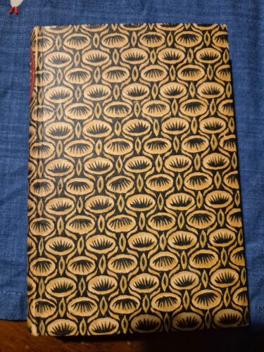 Altes Buch mit durchgehend bedrucktem EInband